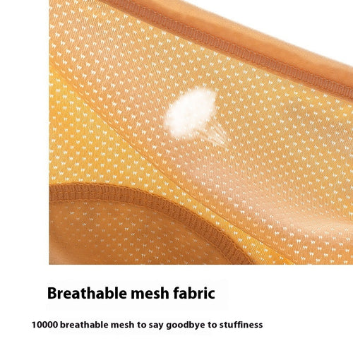 Damen Periodenunterwäsche – Auslaufsicher, Mittelbund, Eisseide, Dünn & Sommerleicht, Sicher gegen Auslaufen